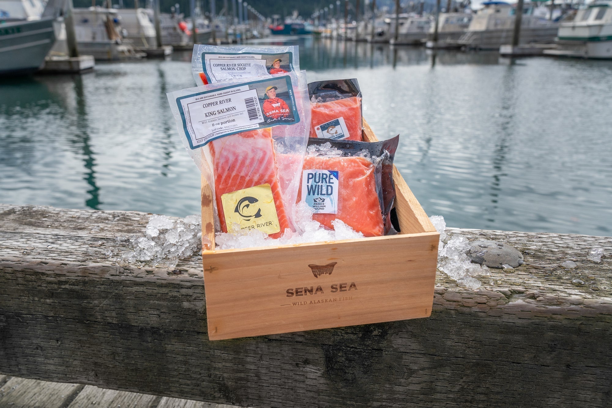 How Sena Sea Scaled Premium Seafood Nationwide