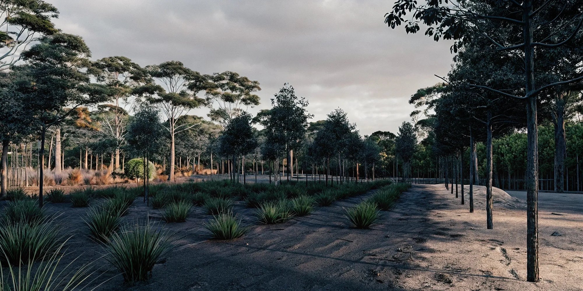 One Tree Per Order: The Simplicity of Verified Climate Action