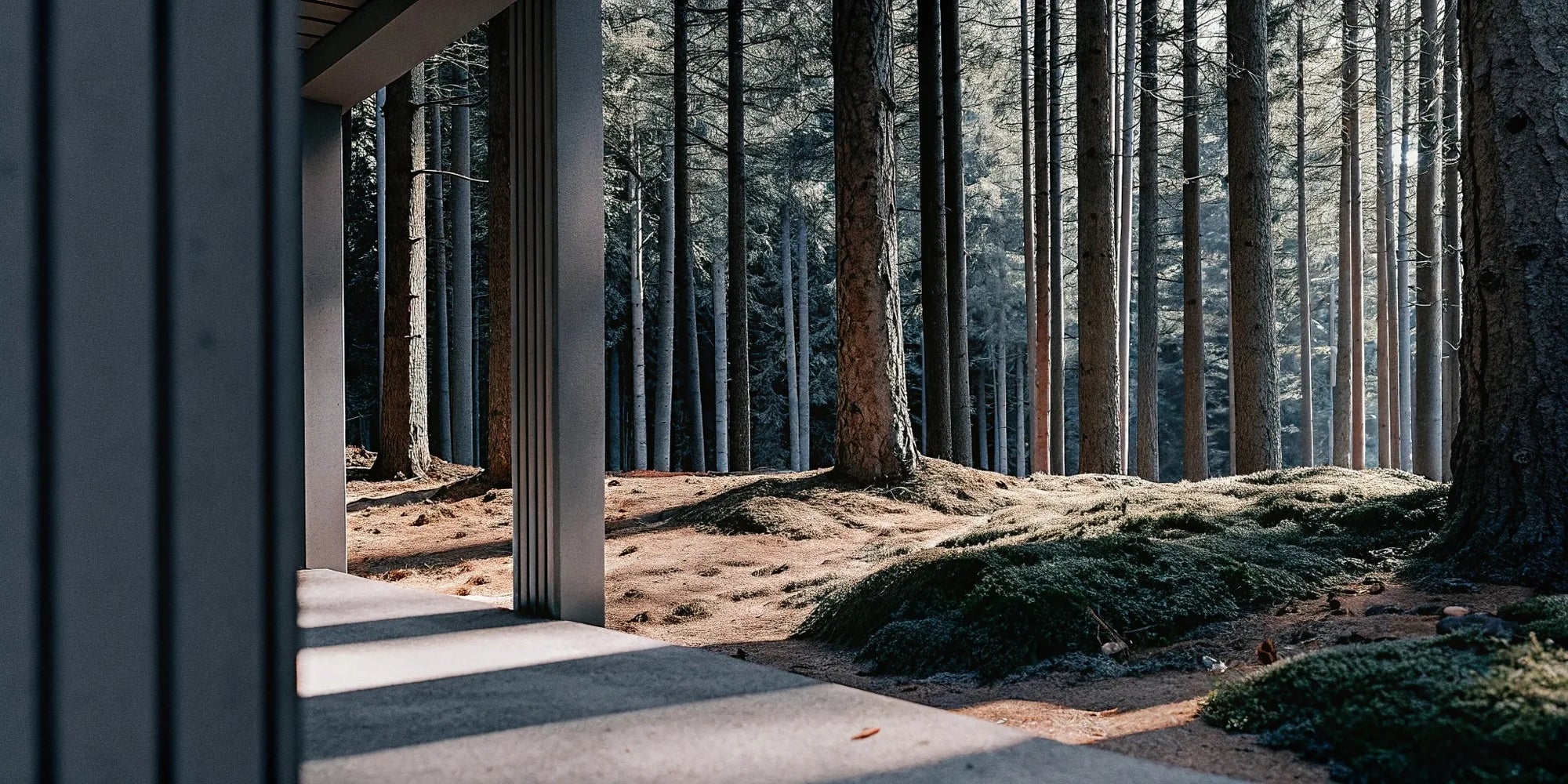 Protection with Purpose: Why Impact-Driven Brands Win More Customers