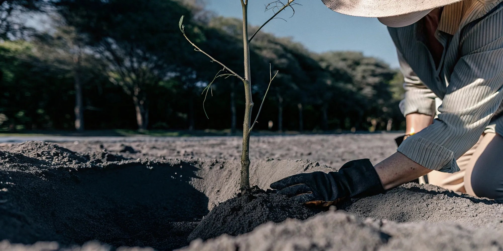 The Merchant’s Guide to Offering Tree Planting with Every Order